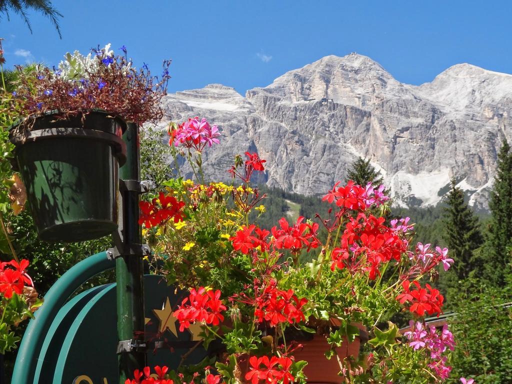 Hotel Pontechiesa Cortina d'Ampezzo Exterior photo